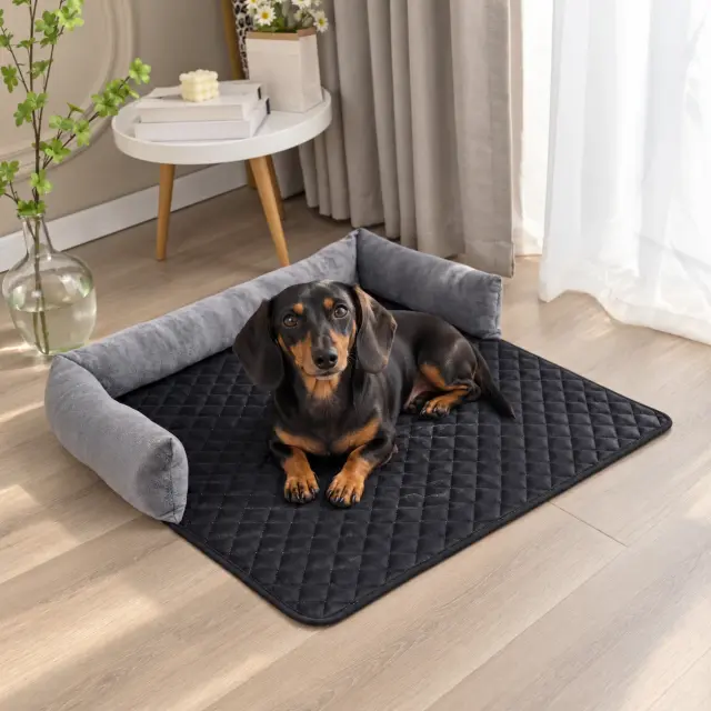 Doxie Sofa Snuggle Mat